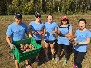 Photo of five NCB Employees volunteering in a garden