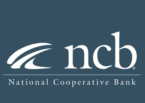 NCB LOGO in white