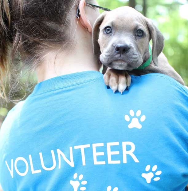 Photo of a girl wearing a volunteer shirt holding a puppy 