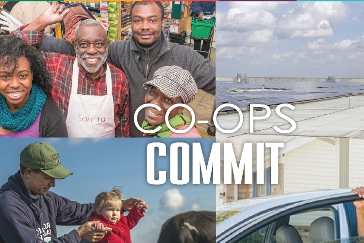 Celebrate Co-op Month: Learn about the top 100 cooperatives