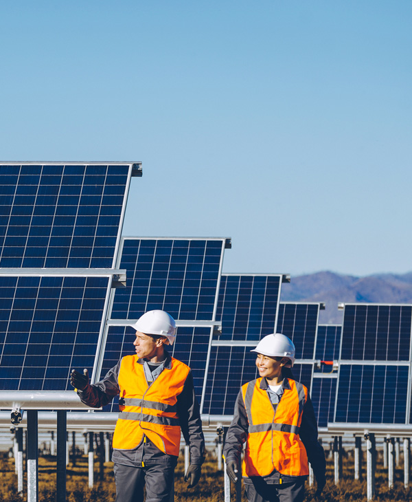 installers walking through a field of solar energy panels